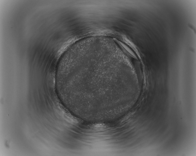 X0000100390059200806271407