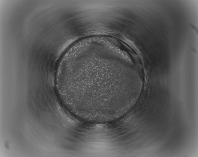 X0000100390060200806271407