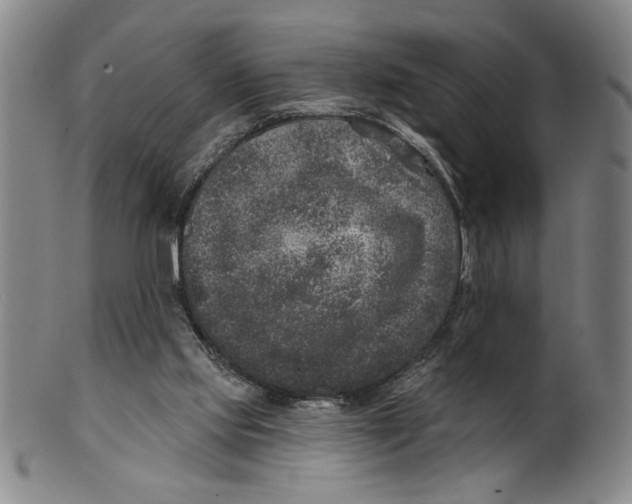 X0000100390061200806271407