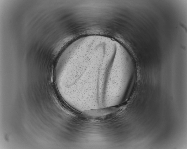 X0000100390062200806271407