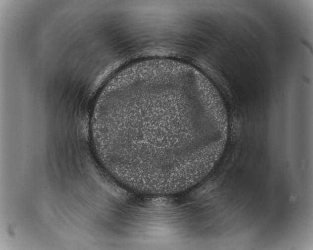 X0000100390064200806271407