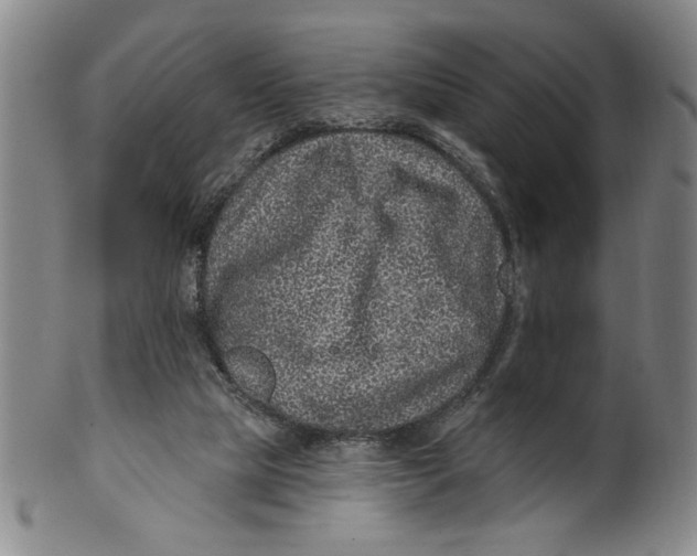 X0000100390065200806271407