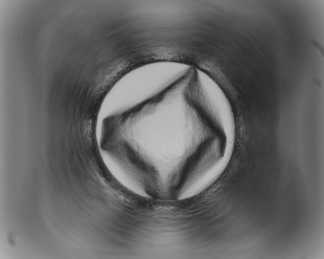 X0000100390066200806271407