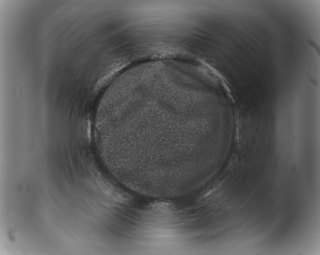 X0000100390067200806271407