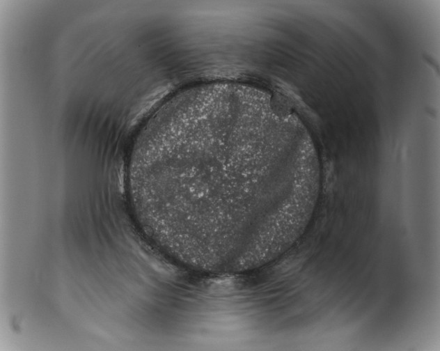 X0000100390068200806271407