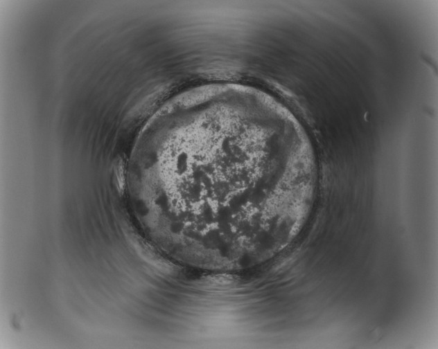 X0000100390069200806271407