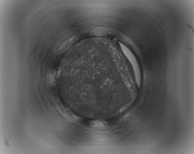 X0000100390073200806271407