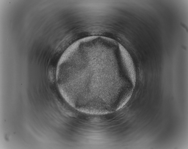 X0000100390074200806271407