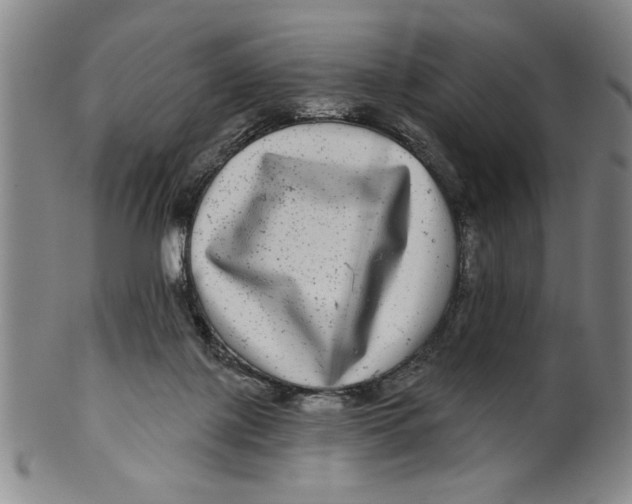 X0000100390075200806271407