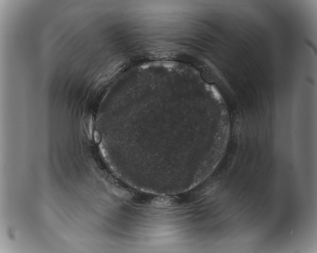 X0000100390076200806271407