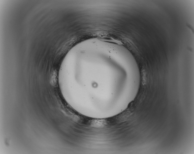 X0000100390077200806271407