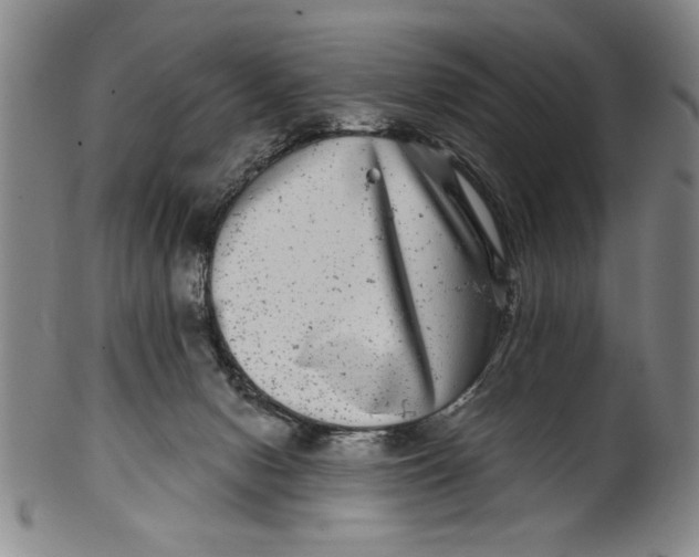 X0000100390078200806271407