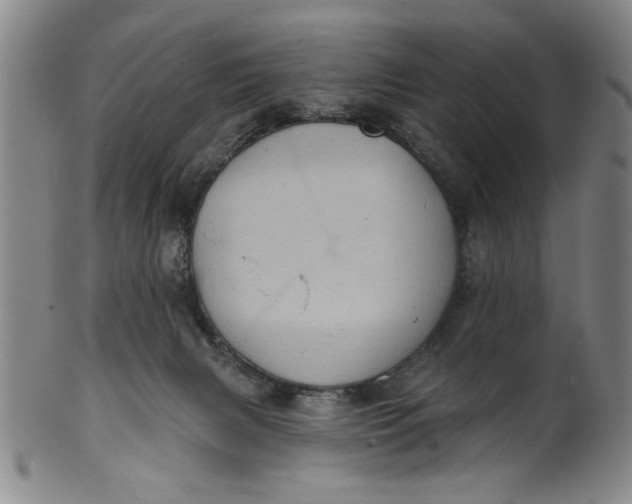 X0000100390079200806271407