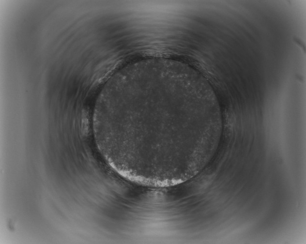 X0000100390080200806271407