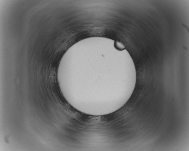 X0000100390083200806271407