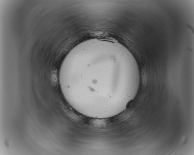 X0000100390085200806271407