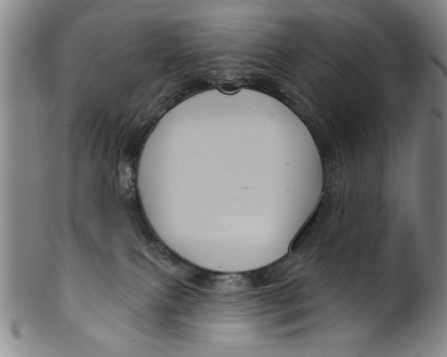 X0000100390087200806271407