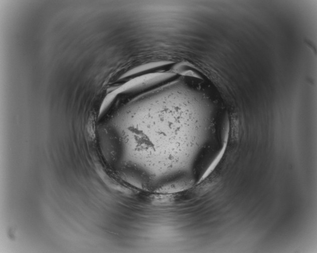 X0000100390088200806271407