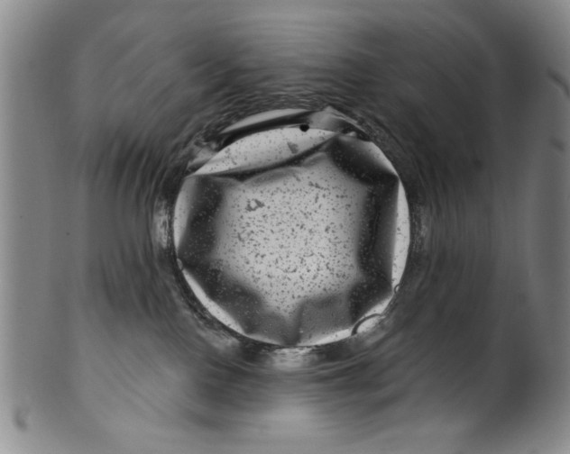 X0000100390090200806271407