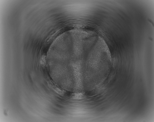 X0000100390093200806271407