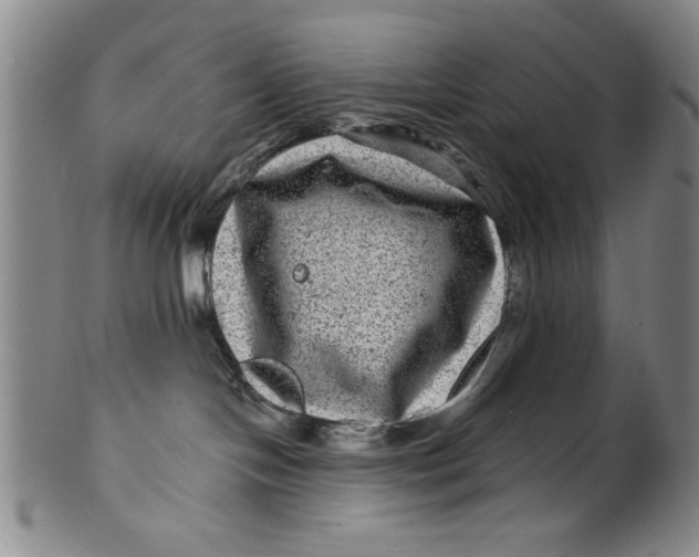 X0000100390094200806271407