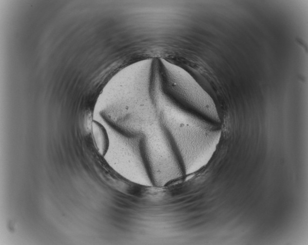 X0000100390095200806271407