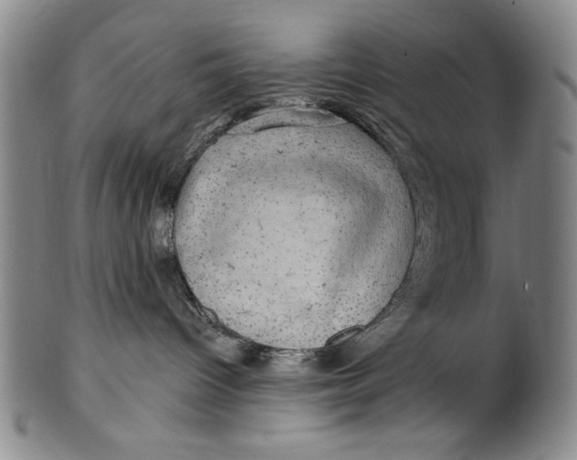 X0000100390096200806271407