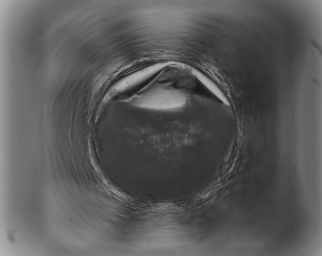 X0000100390097200806271406