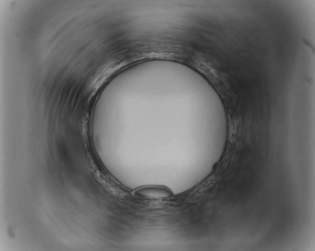 X0000100390098200806271406