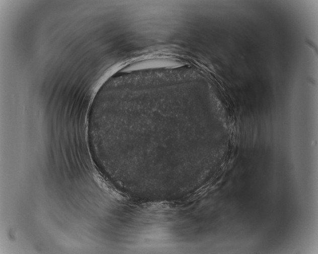 X0000100390100200806271406