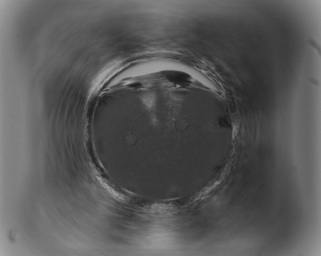 X0000100390101200806271406