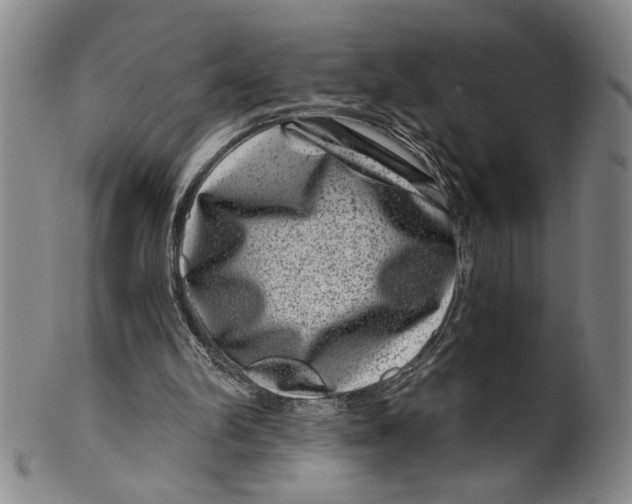 X0000100390102200806271406