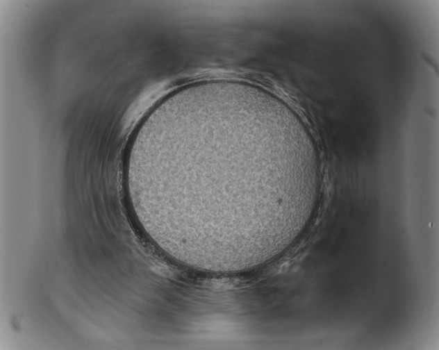 X0000100390103200806271406