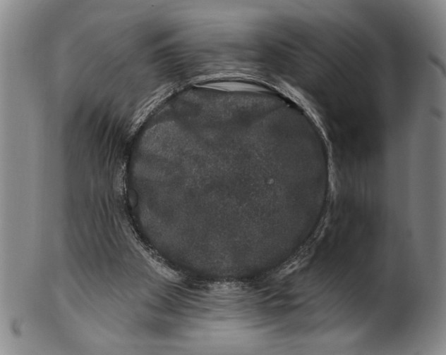 X0000100390105200806271406