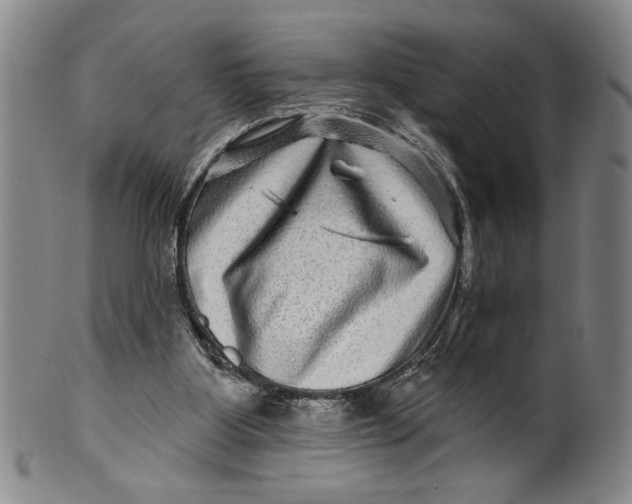 X0000100390107200806271406