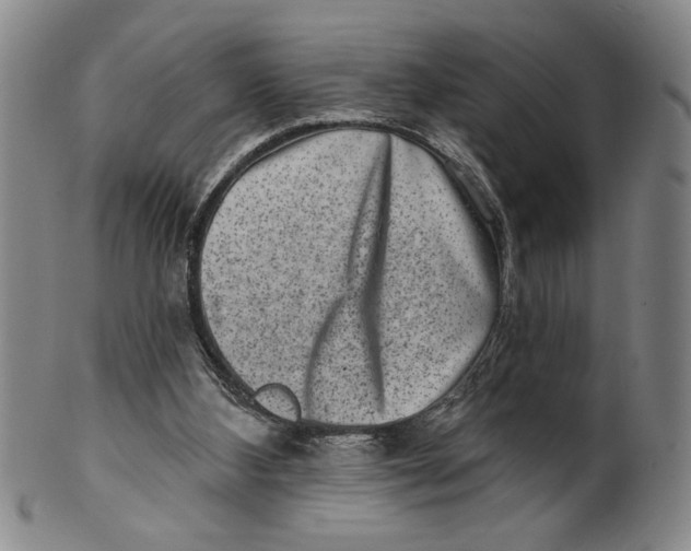 X0000100390108200806271406