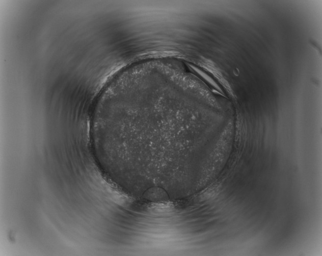 X0000100390110200806271406