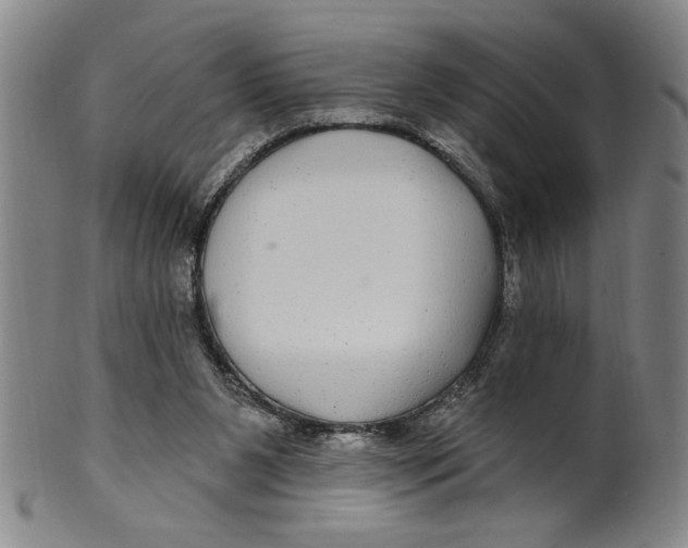 X0000100390111200806271406