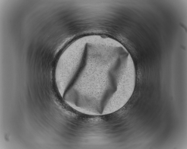 X0000100390112200806271406