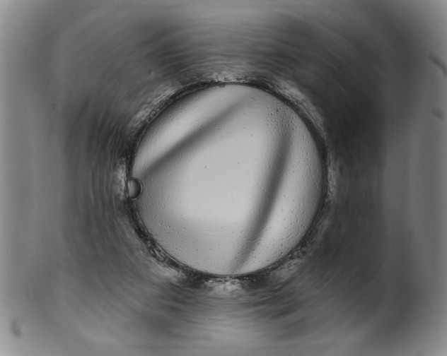 X0000100390113200806271406