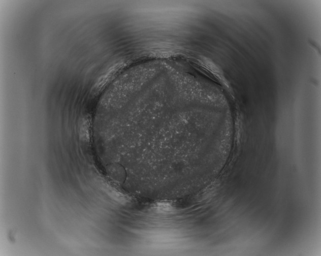 X0000100390114200806271406