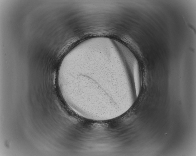 X0000100390115200806271406