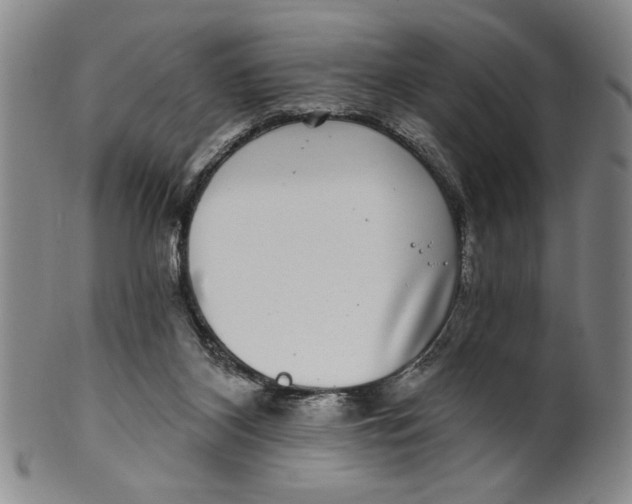 X0000100390116200806271406