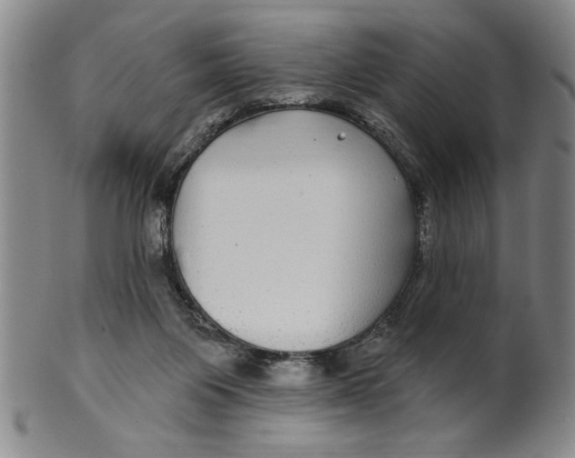 X0000100390119200806271406