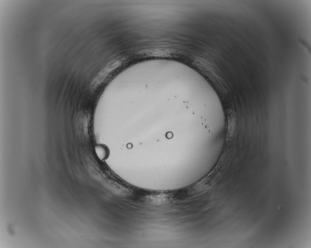 X0000100390120200806271406