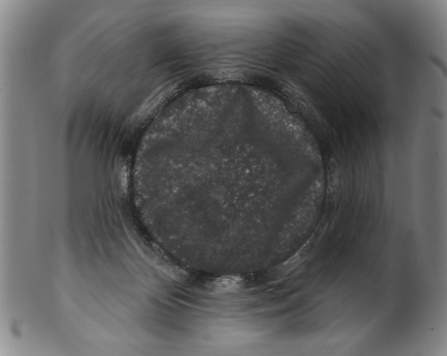 X0000100390124200806271406