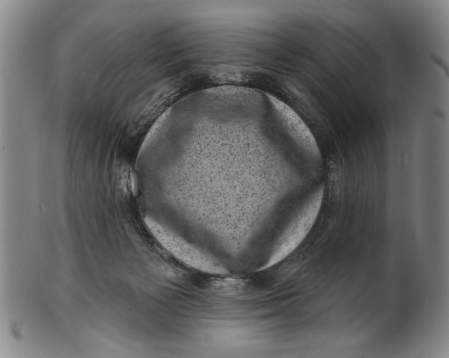 X0000100390125200806271406