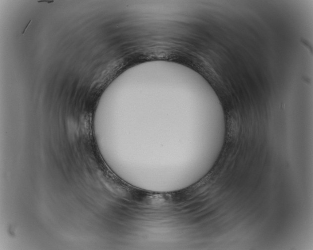 X0000100390126200806271406