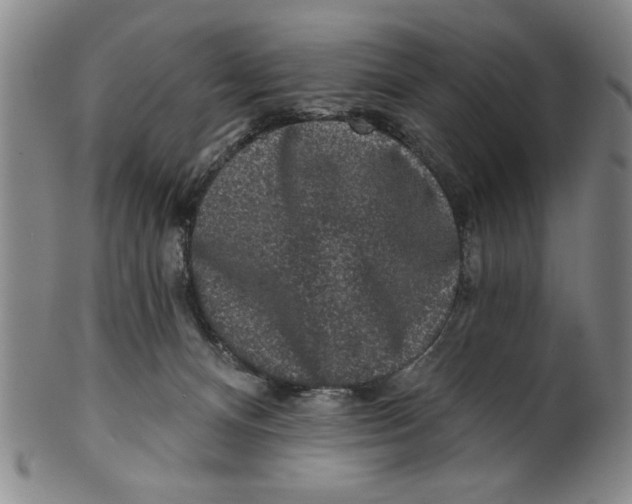 X0000100390128200806271406