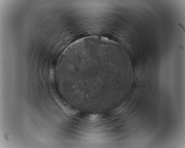 X0000100390130200806271406